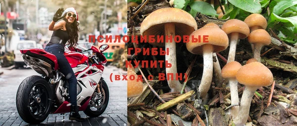 круглые Алексеевка