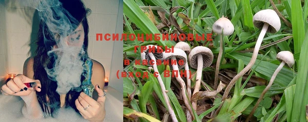 круглые Алексеевка
