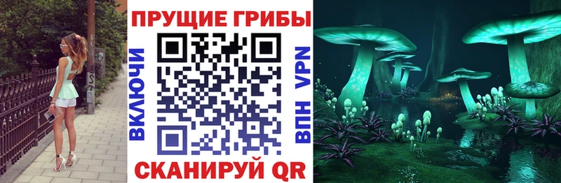 Галлюциногенные грибы мицелий  цена   Карабулак 