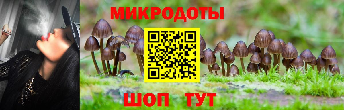 Карабулак  Псилоцибиновые грибы ЛСД  Галлюциногенные грибы ЛСД  Вход с VPN 